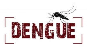 Conheça os Riscos da Dengue no Verão 9