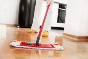 De Casa Para Casa – A Limpeza dos Pisos 3