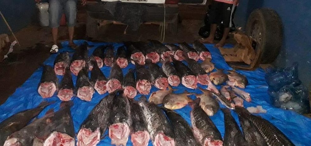 Dois homens são presos com 300 kg de pescado irregular 1