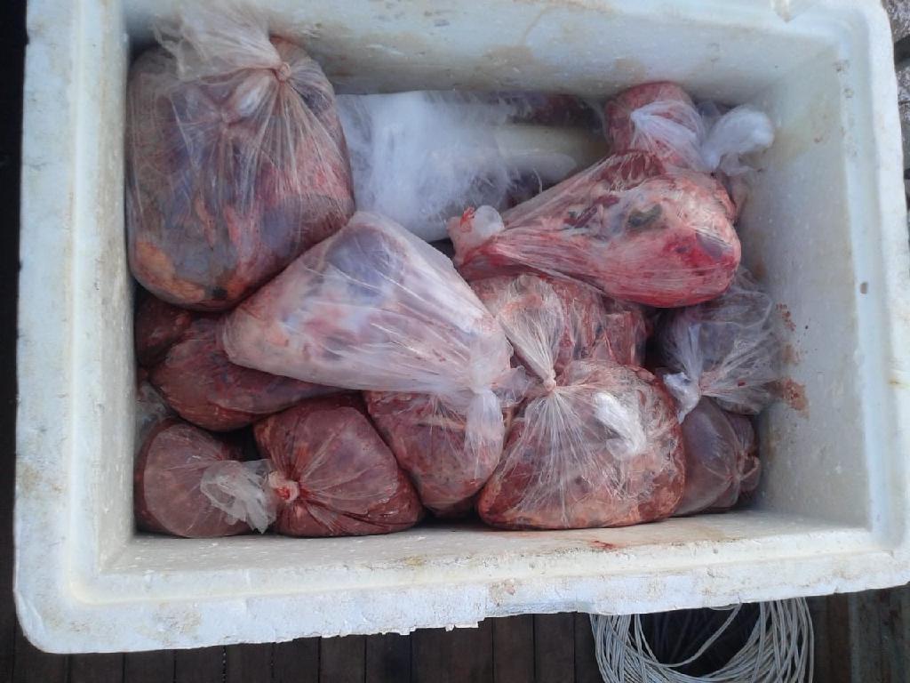 Dois são presos com 30kg de carne de animais silvestres 1
