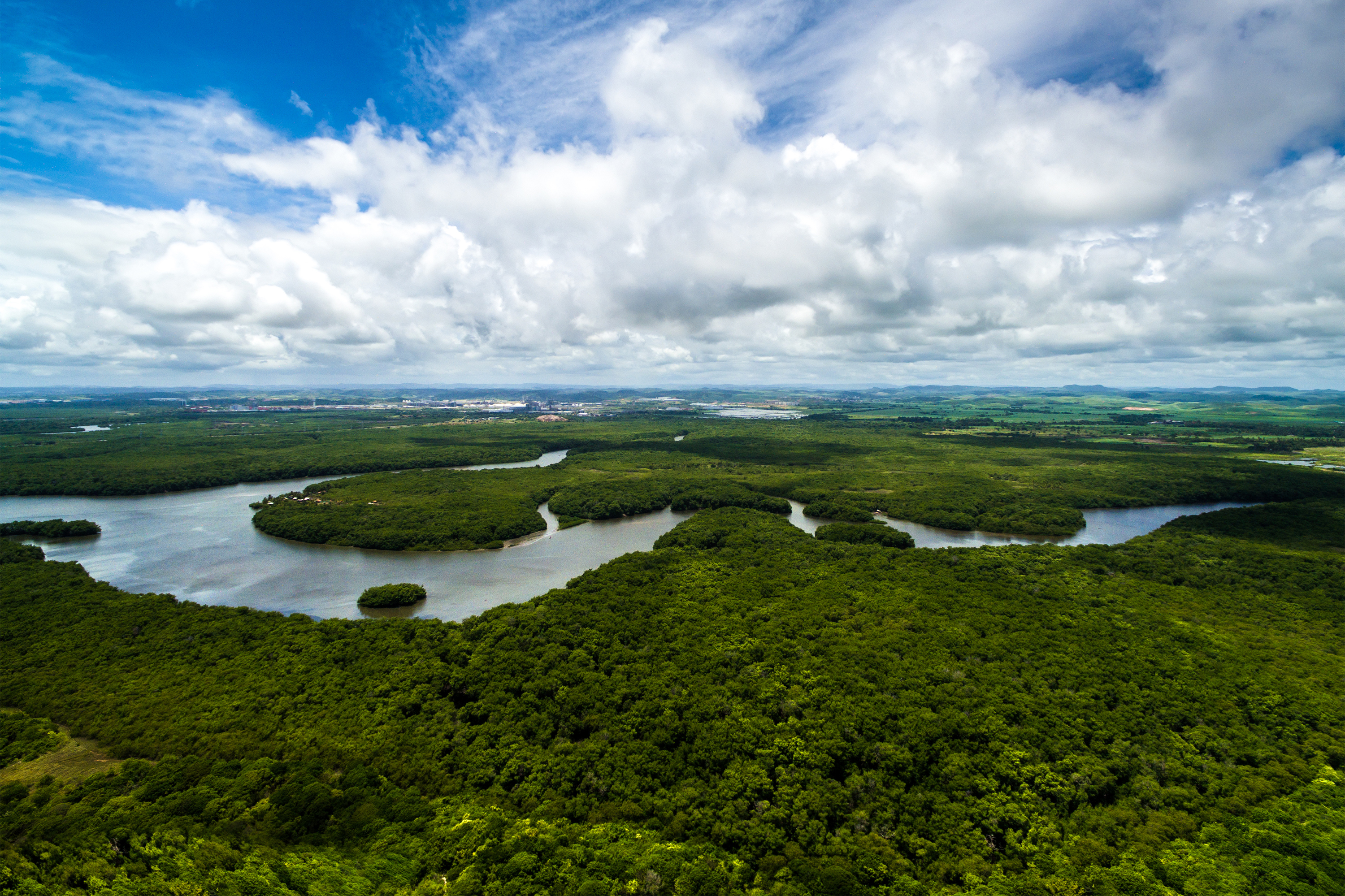 Governo determina criação de Conselho para proteção da Amazônia