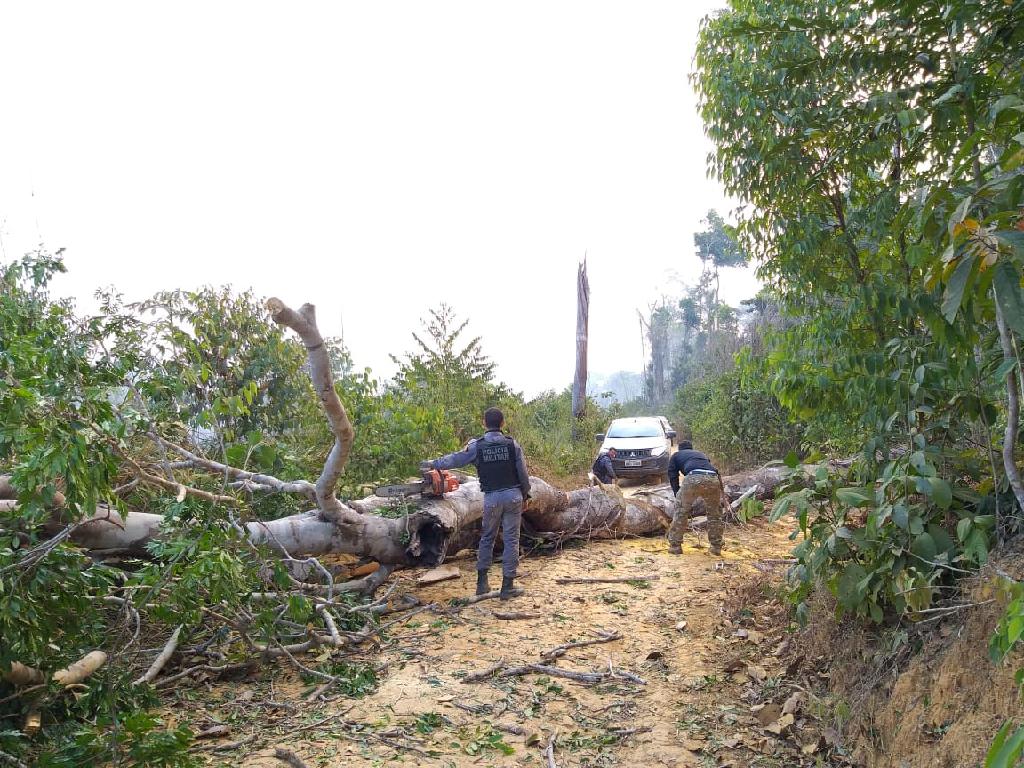Equipes de fiscalização ambiental sofrem emboscadas em Colniza 4