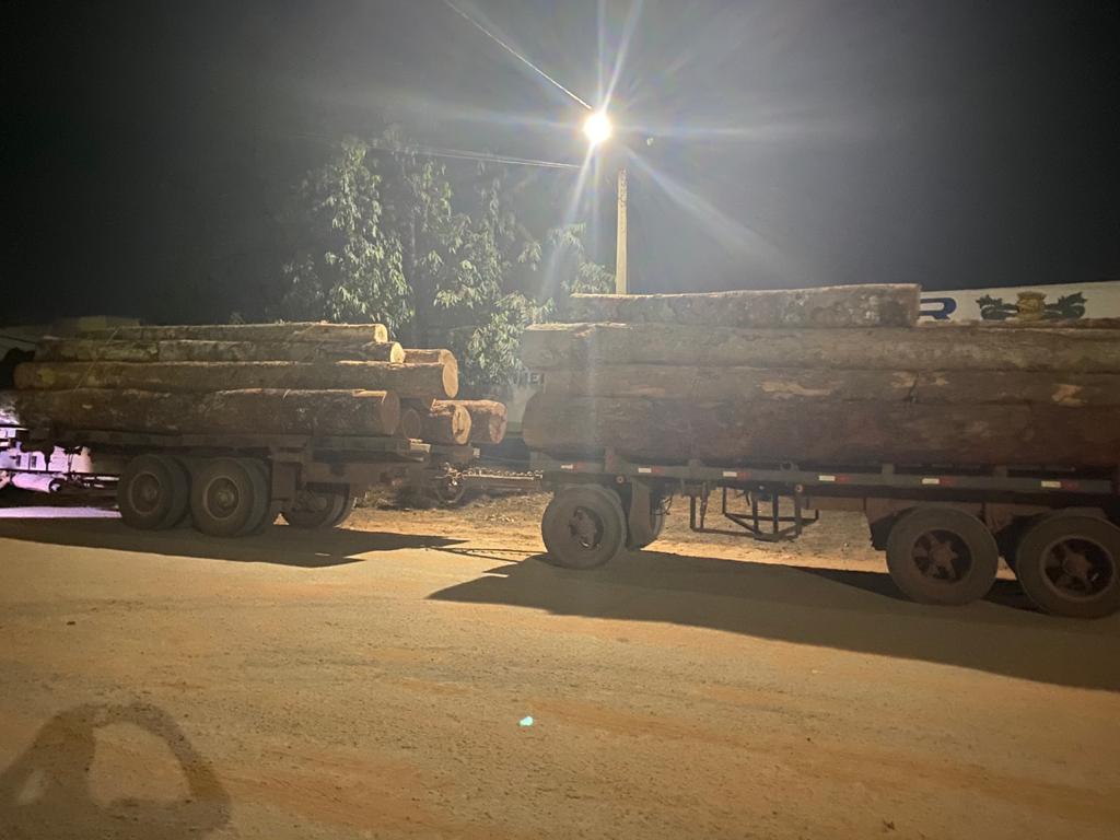 Polícia Militar apreende 22 toneladas de madeira ilegal