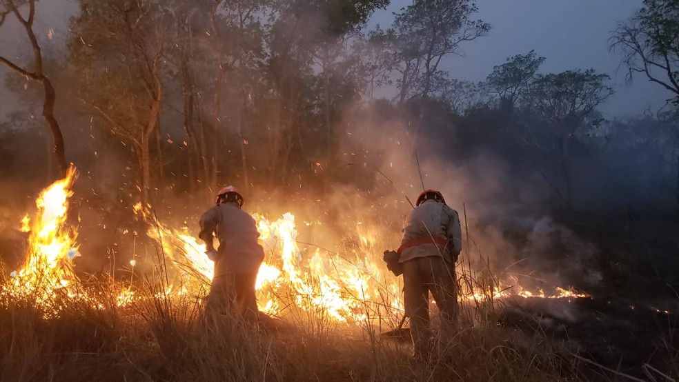 Governo suspende ações de combate às queimadas no Pantanal e desmatamento na Amazônia 1