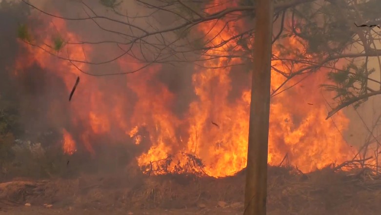 Incêndio consome vegetação e fogo ameaça casas em Sorriso