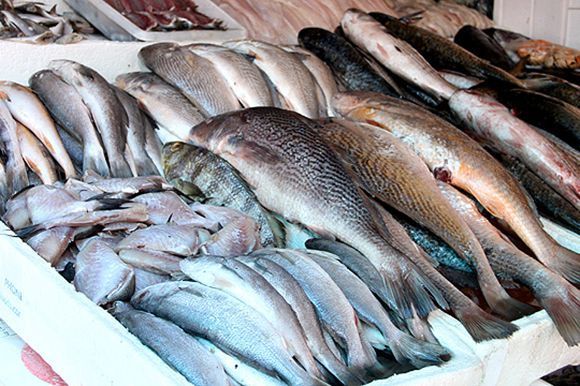 Pescadores e estabelecimentos devem declarar estoque de pescado até dia 2 1