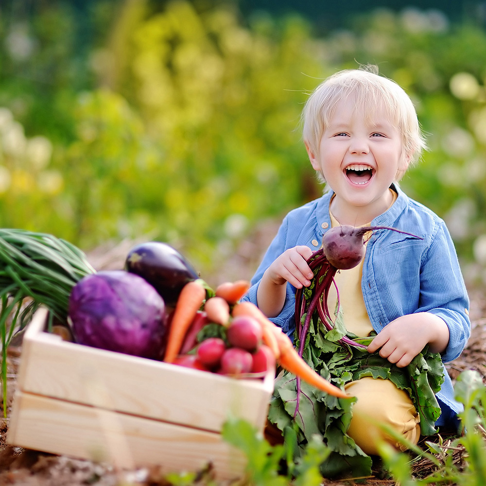 Nutrição Infantil: Os Benefícios da Beterraba Para as Crianças 5
