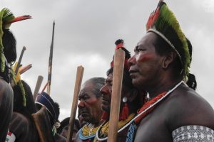 Indígenas do Mato Grosso serão consultados sobre Ferrogrão 