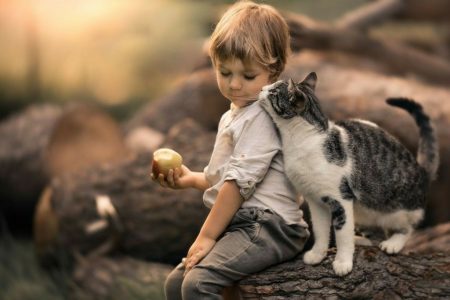 Infantil & Pets – Sideibem©