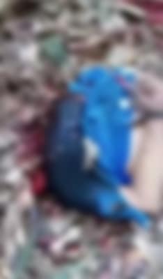 Pai recebe imagens do filho desaparecido com a cabeça decepada em Sinop 1