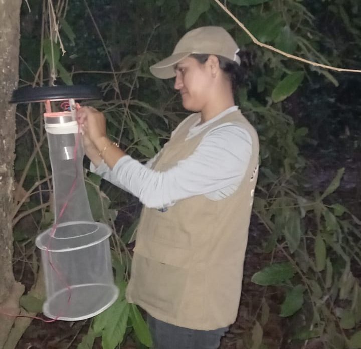 Agentes de combate às endemias fazem coleta de mosquitos para levantamento