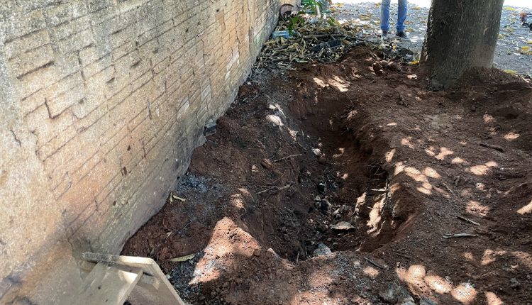 Corpo de homem desaparecido é encontrado enterrado no Nortão 8