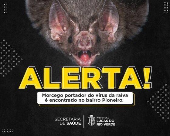 Prefeitura de Lucas do Rio Verde alerta sobre caso de raiva em morcego