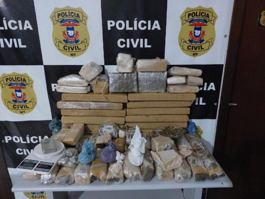 Polícia Civil localiza 50 quilos de entorpecentes em zona rural
