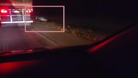 Idoso não resiste e morre após colidir com carreta na BR-163 1