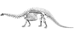paleontologia