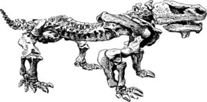 paleontólogo