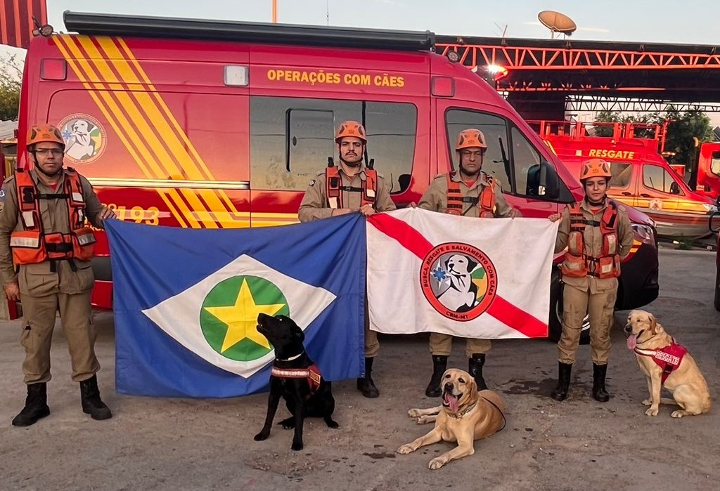 Bombeiros e cães de Mato Grosso auxiliam nas buscas por pessoas desaparecidas no RS